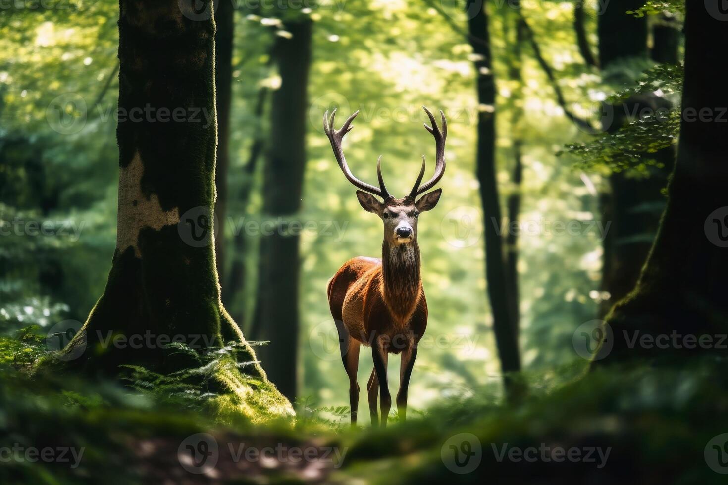 Wild deer in a forest created with generative AI technology. photo