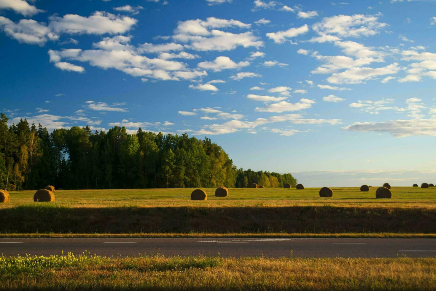 A strip of asphalt gives way to a meadow on which stacks of freshly cut hay, and behind them a forest edge and a sky with white curly clouds. photo