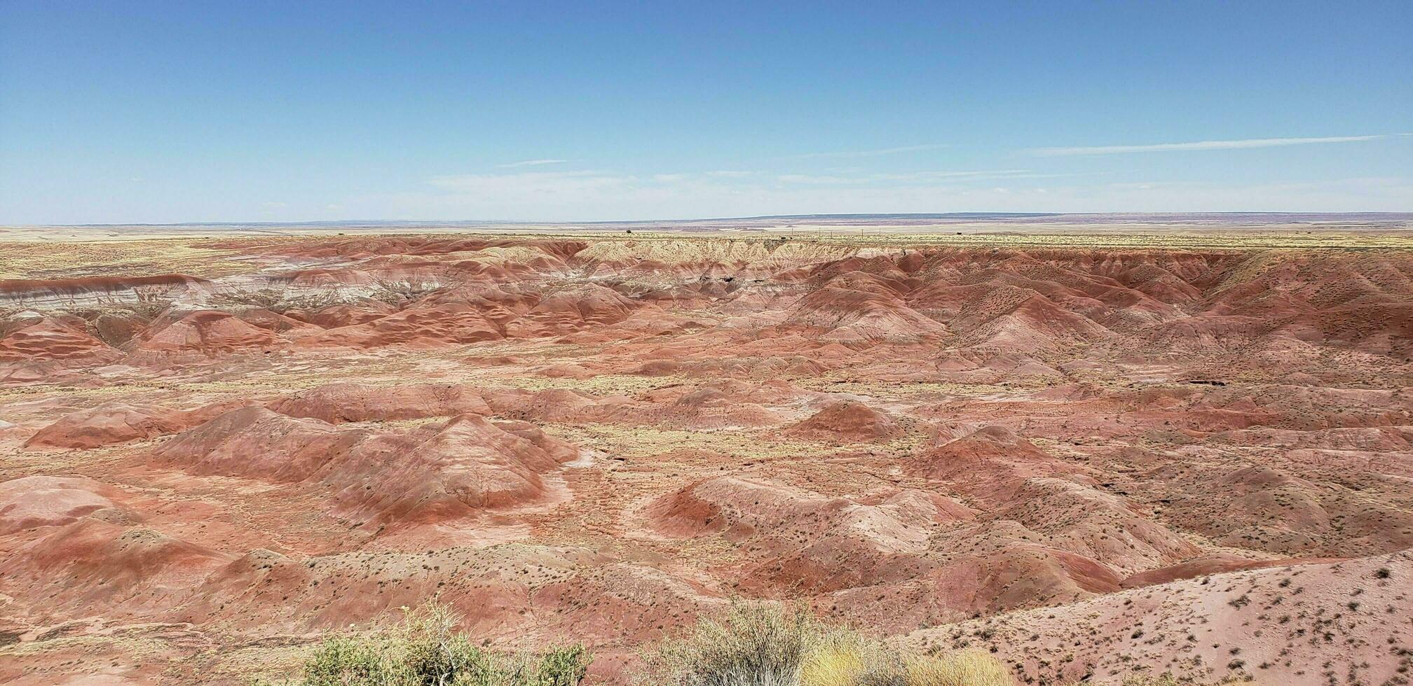 A view of the Petrified Nation Forest photo
