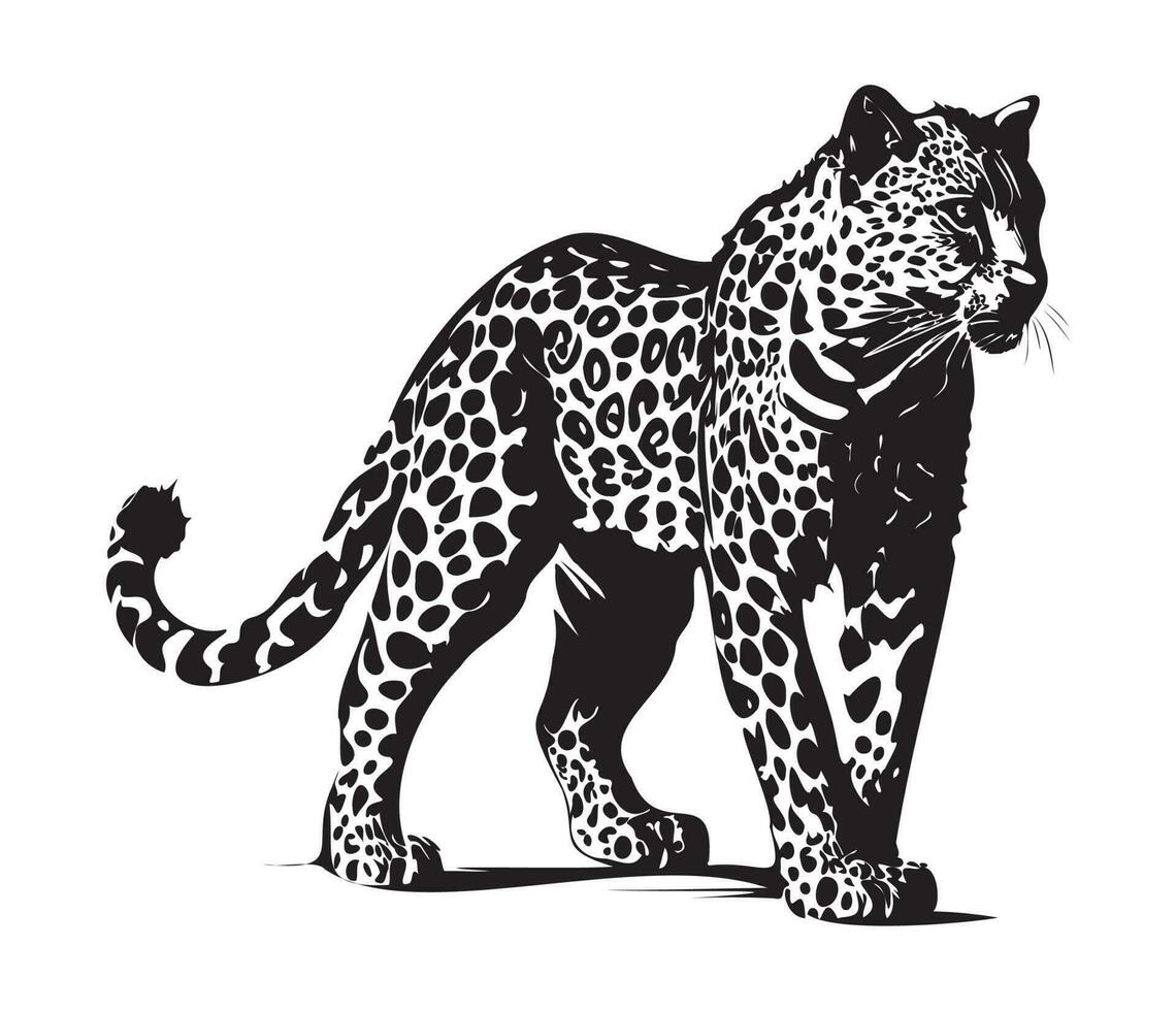 leopardo, siluetas leopardo cara svg, negro y blanco leopardo vector