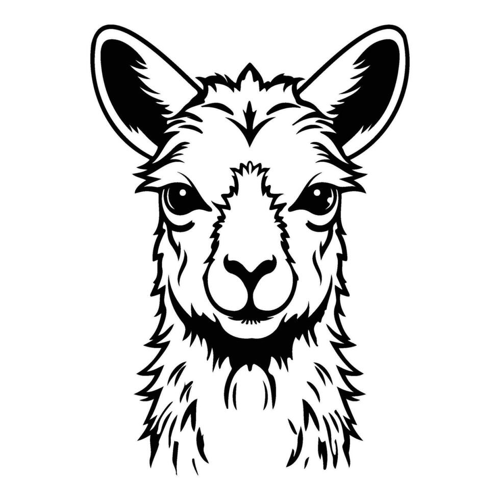 llama cara y cabeza clipart, alpaca animal logo, retrato de un llama vector