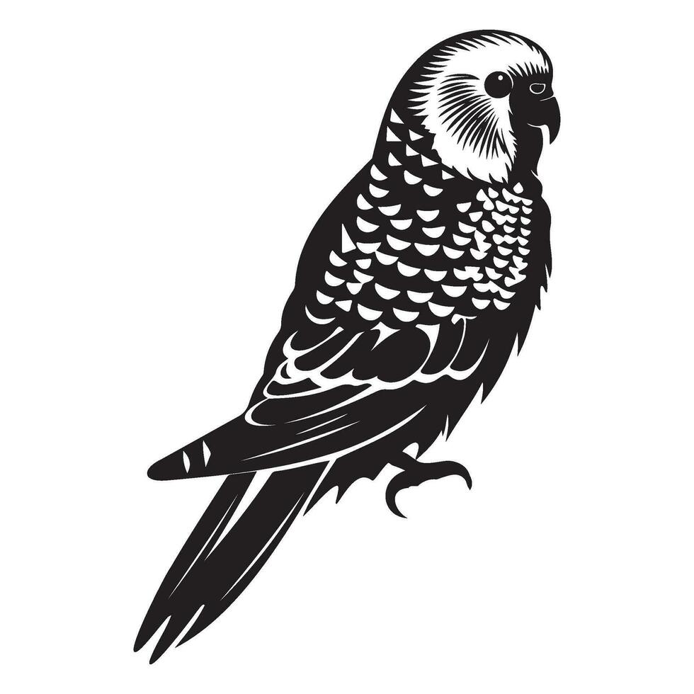 Budgerigar silhouette, Budgerigar mascot logo, Budgerigar Black and White Animal Symbol Design, Bird icon. vector