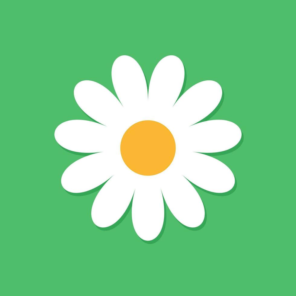 Chamomile flower vector icon in flat style. Daisy illustration on green isolated background. Camomile sign concept.