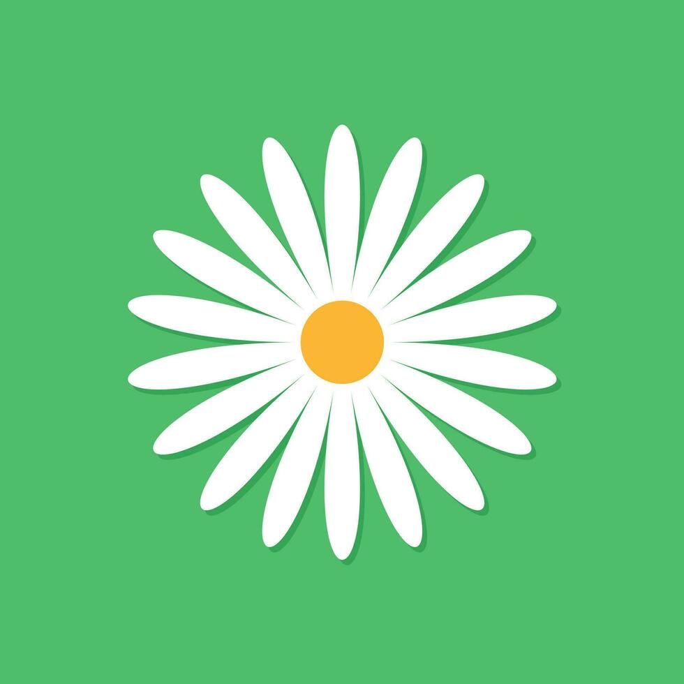 Chamomile flower vector icon in flat style. Daisy illustration on green isolated background. Camomile sign concept.
