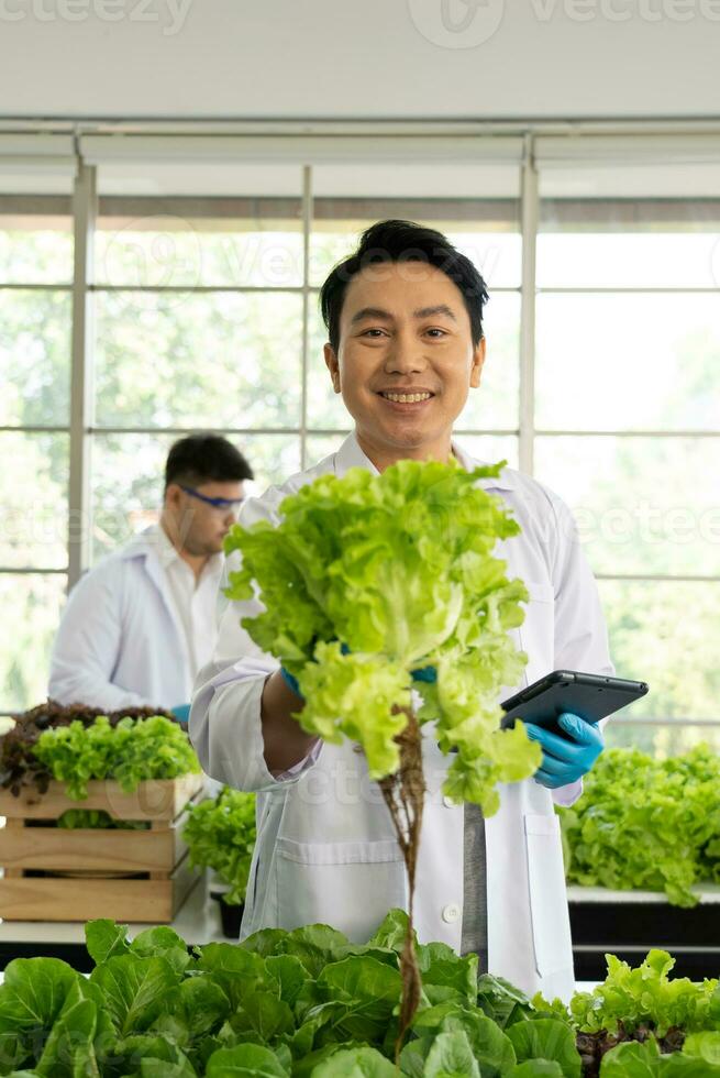 científico equipo haciendo experimentar en agricultura laboratorio a desarrollar genético modificación cultivos foto