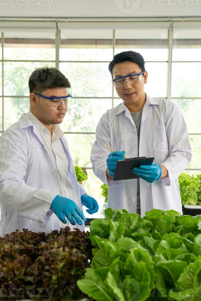 científico equipo haciendo experimentar en agricultura laboratorio a desarrollar genético modificación cultivos foto