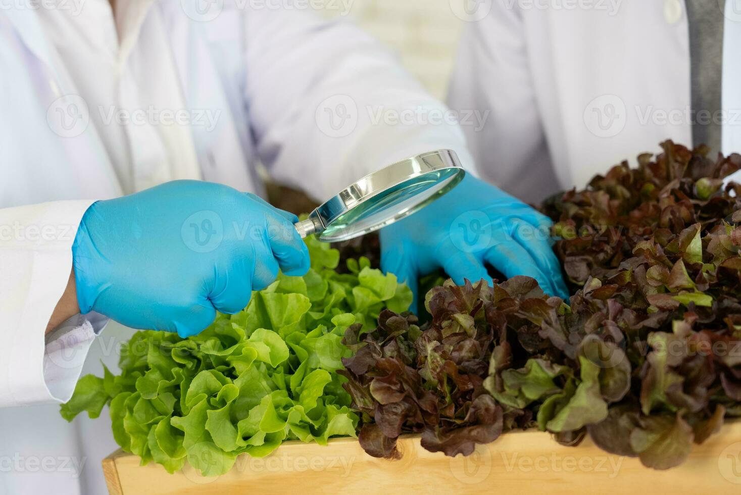 científico equipo haciendo experimentar en agricultura laboratorio a desarrollar genético modificación cultivos foto