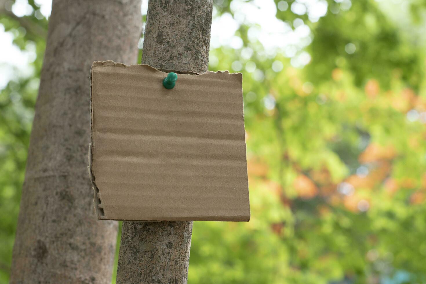 Tree trunk which has blank cardboard sticked on the bark, concept for environment study, nature study, calling out all people to respect environment and join world environment day campaign. photo