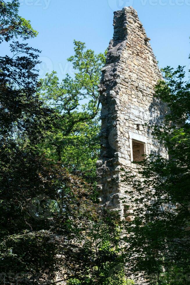 ruins of the castle in the landscape photo