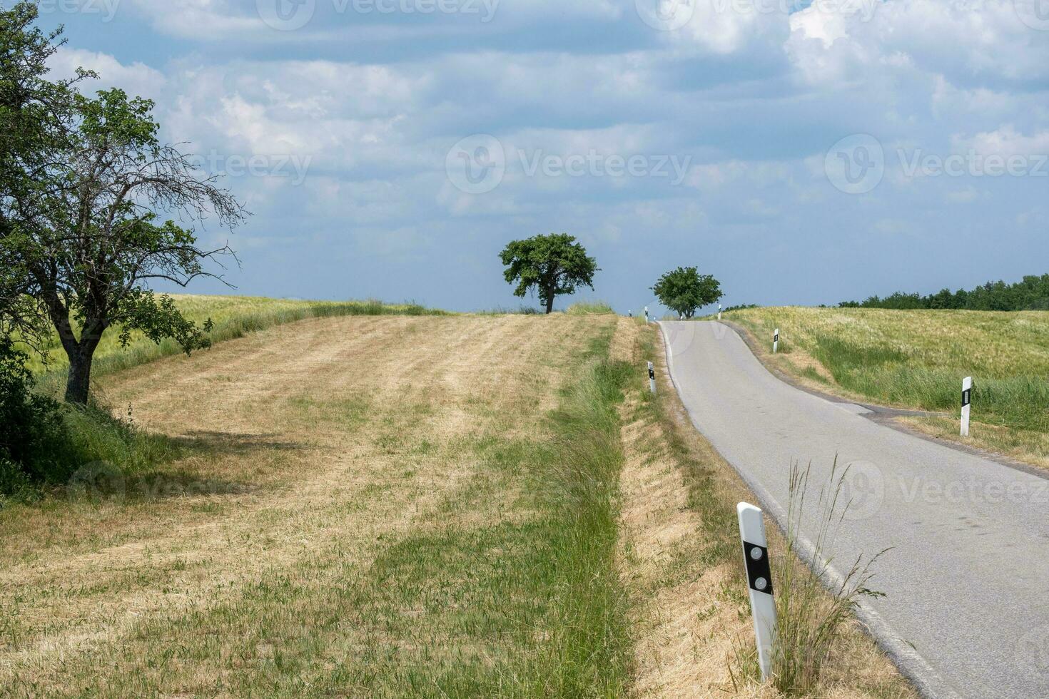 road in the sunny countryside photo