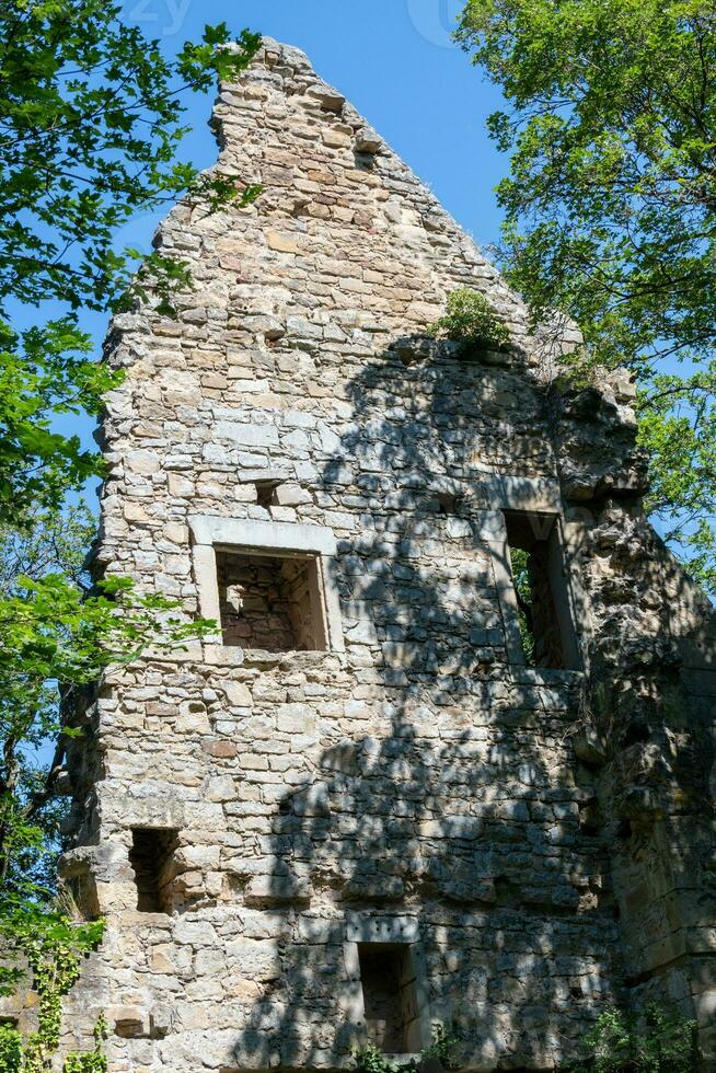 ruins of the castle in the landscape photo