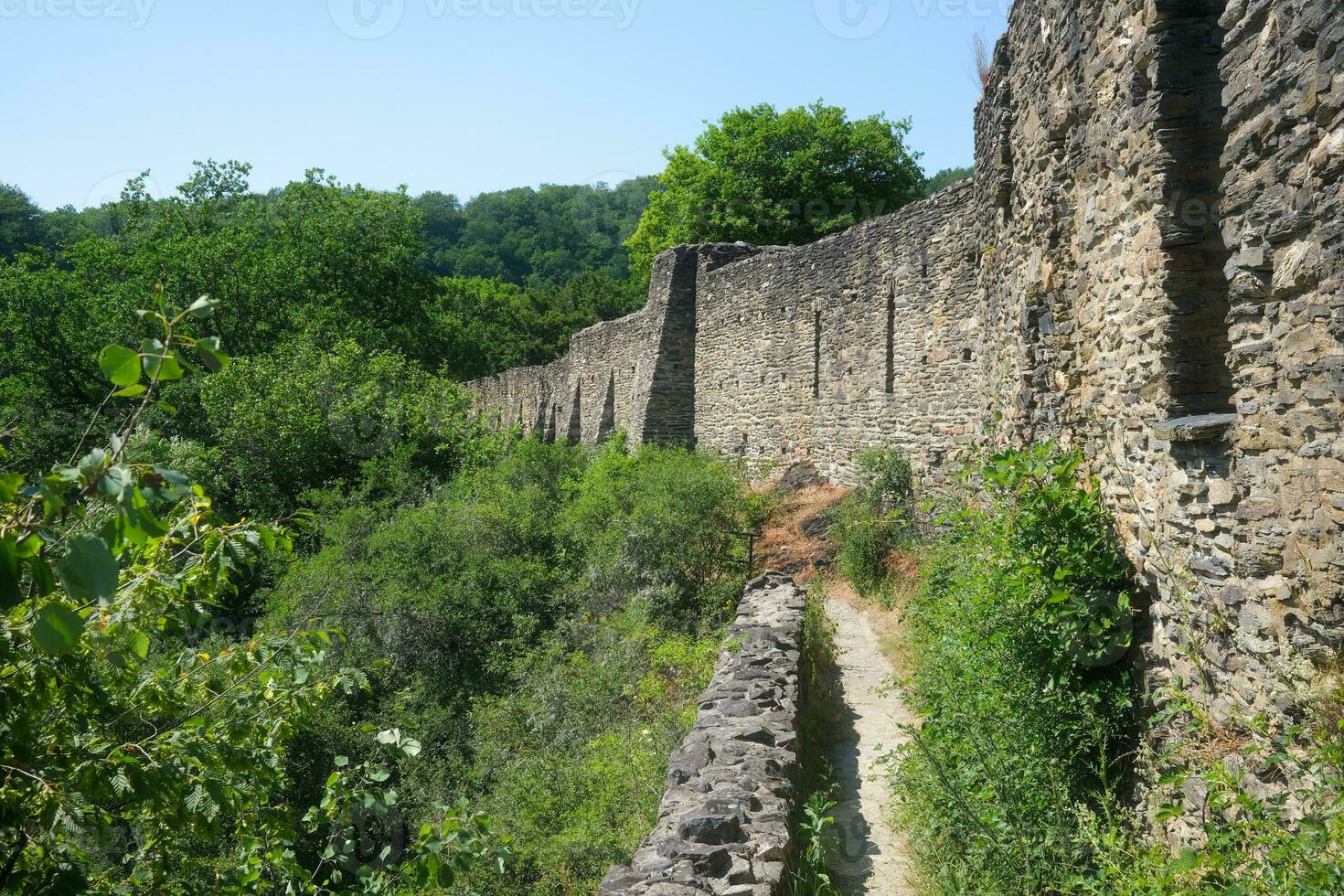 ruins of the castle in the landscape photo