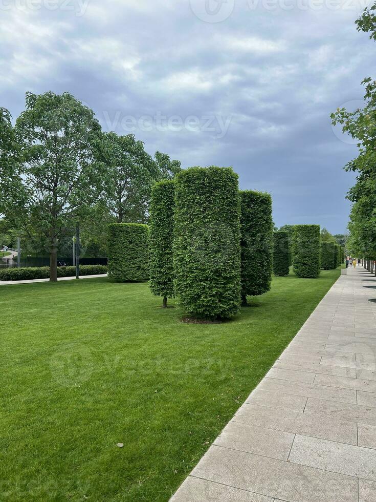 city park, trimmed trees and grass, walking area photo