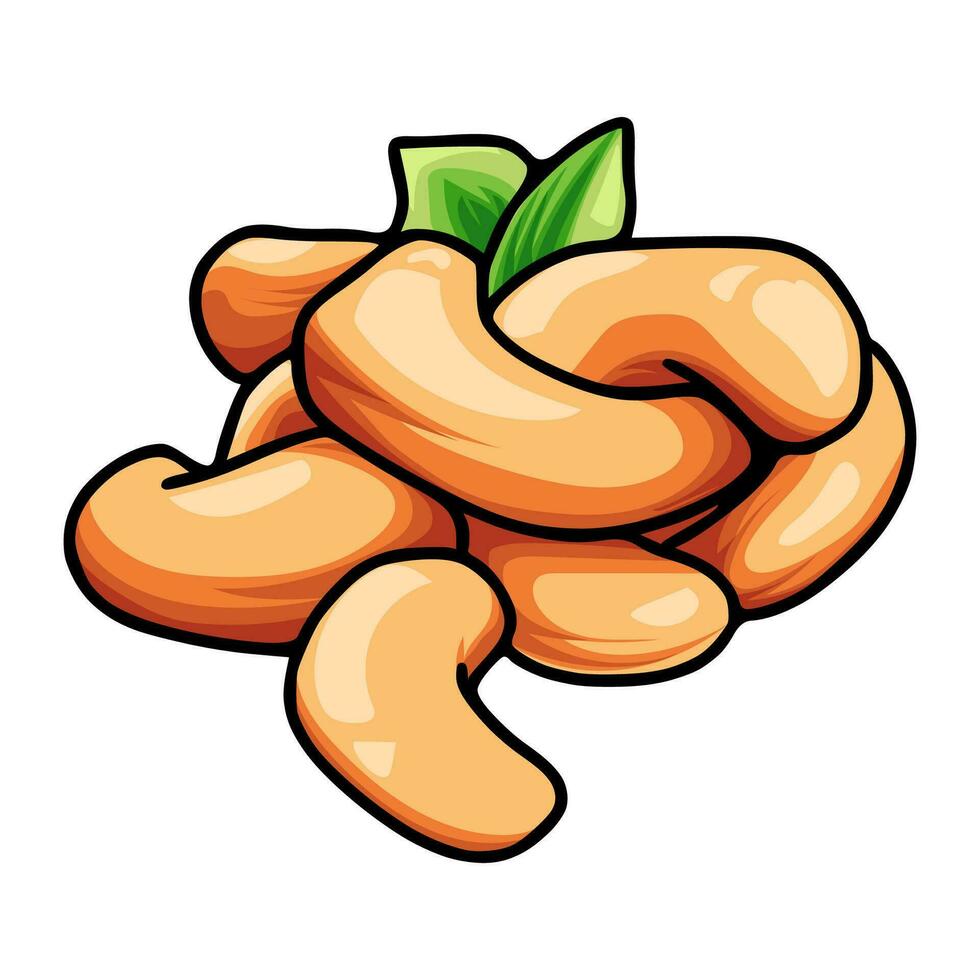 Various types of nuts consumed 26165136 Vector Art at Vecteezy