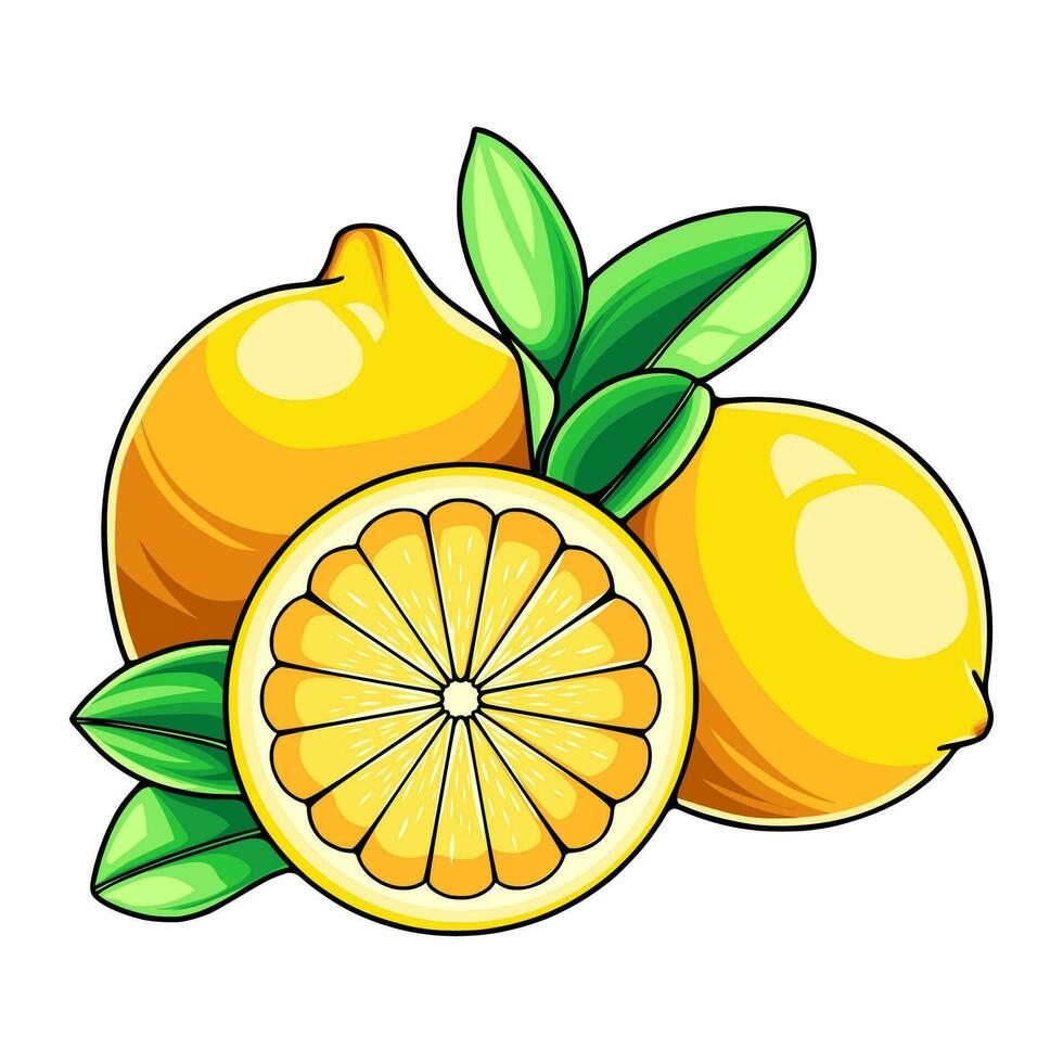 Oranges have high vitamin C 26165165 Vector Art at Vecteezy