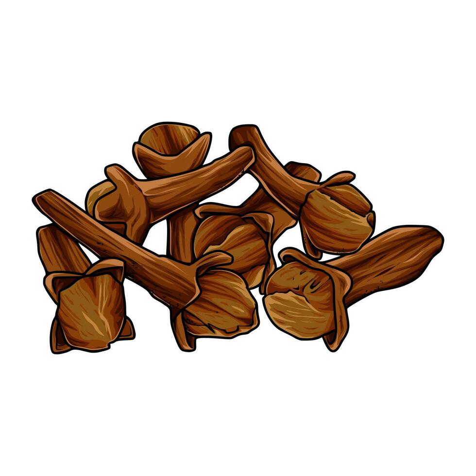Spices with many benefits for the human body vector