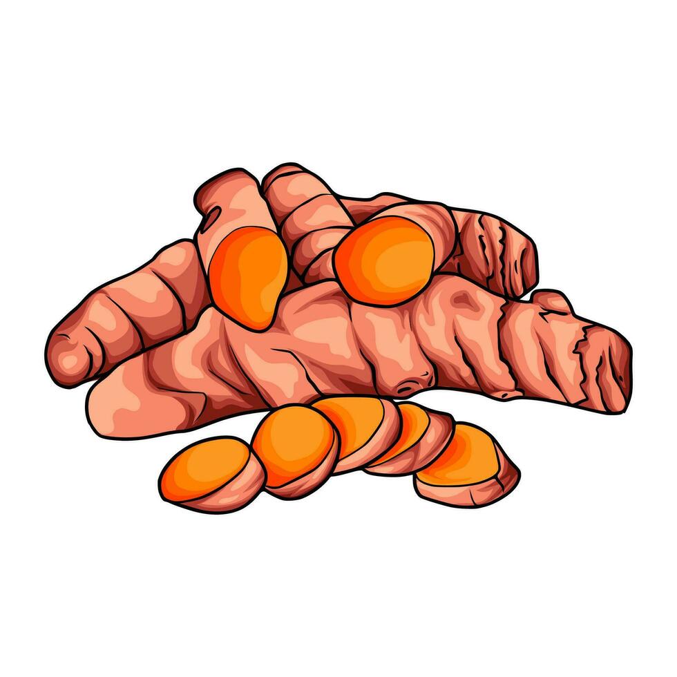 Spices with many benefits for the human body vector