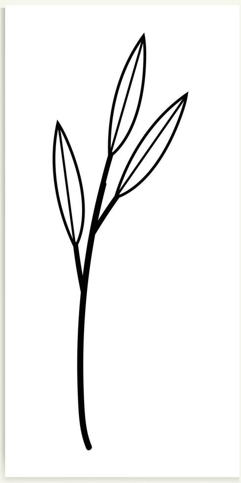 Floral branches and minimalist flowers for logo or tattoo. Hand-drawn line wedding herb, elegant leaves. vector