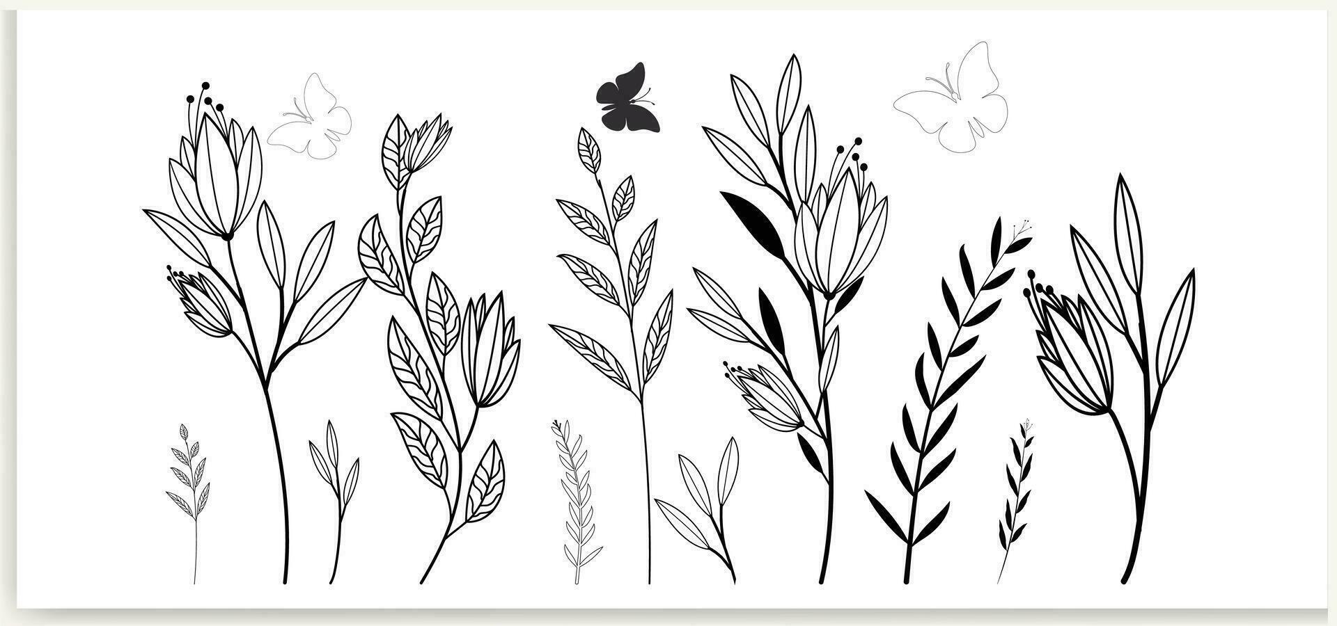Botanical abstract line art, hand-drawn bouquets of herbs, flowers, leaves, and branches, vector illustration
