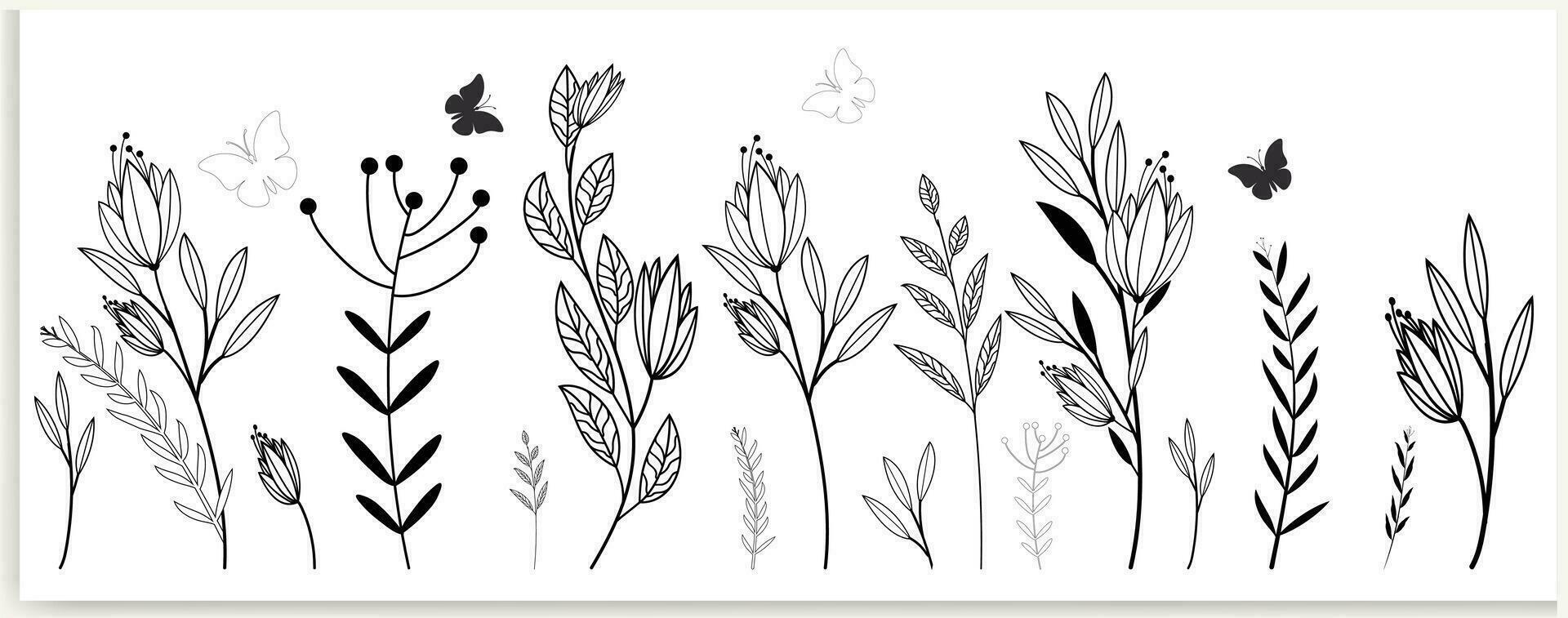 botánico resumen línea arte, dibujado a mano ramos de flores de hierbas, flores, hojas, y sucursales, vector ilustración