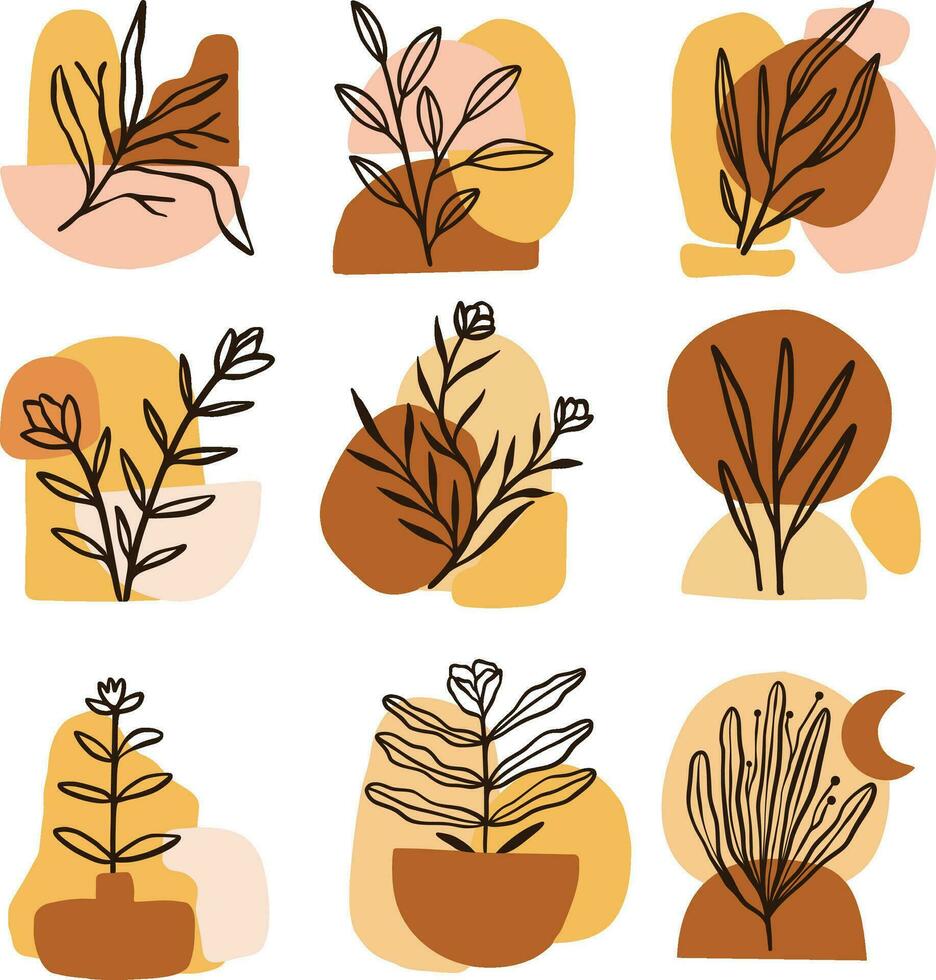 conjunto colección boho orgánico botánico línea ilustración vector
