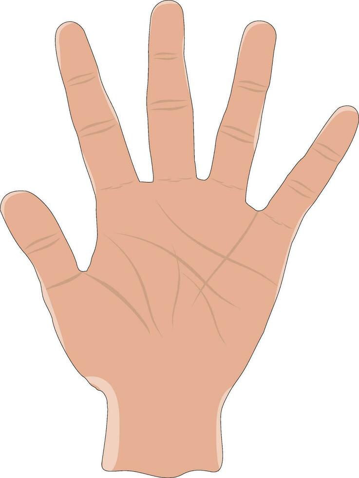 Hand  Fingers, Fingers vector