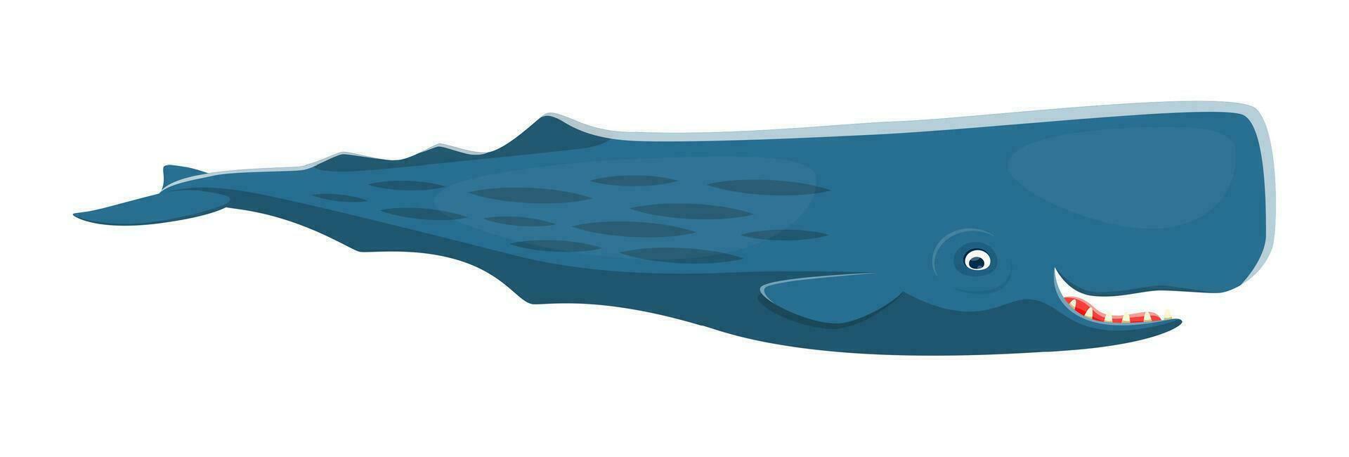 Sea sperm whale character, mammal marine animal vector