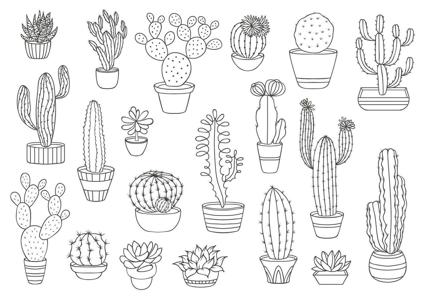 Outline cactus succulents, vector desert plants