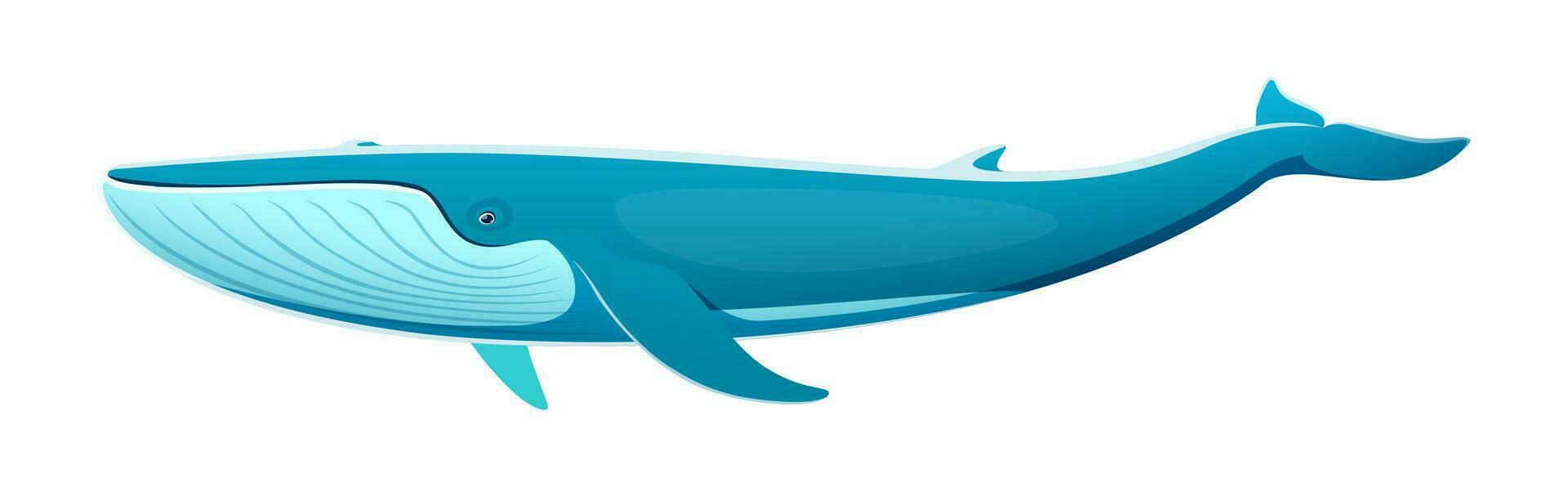 Blue whale character, magnificent sea creature vector