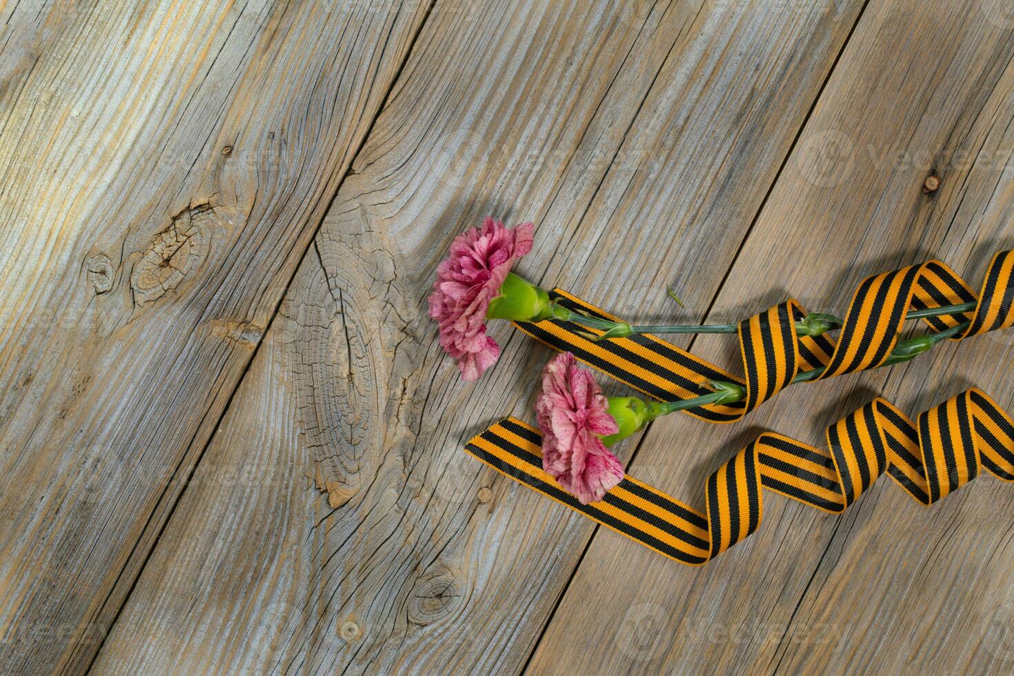 Two pink carnations, Saint George ribbon on a wooden surface. photo