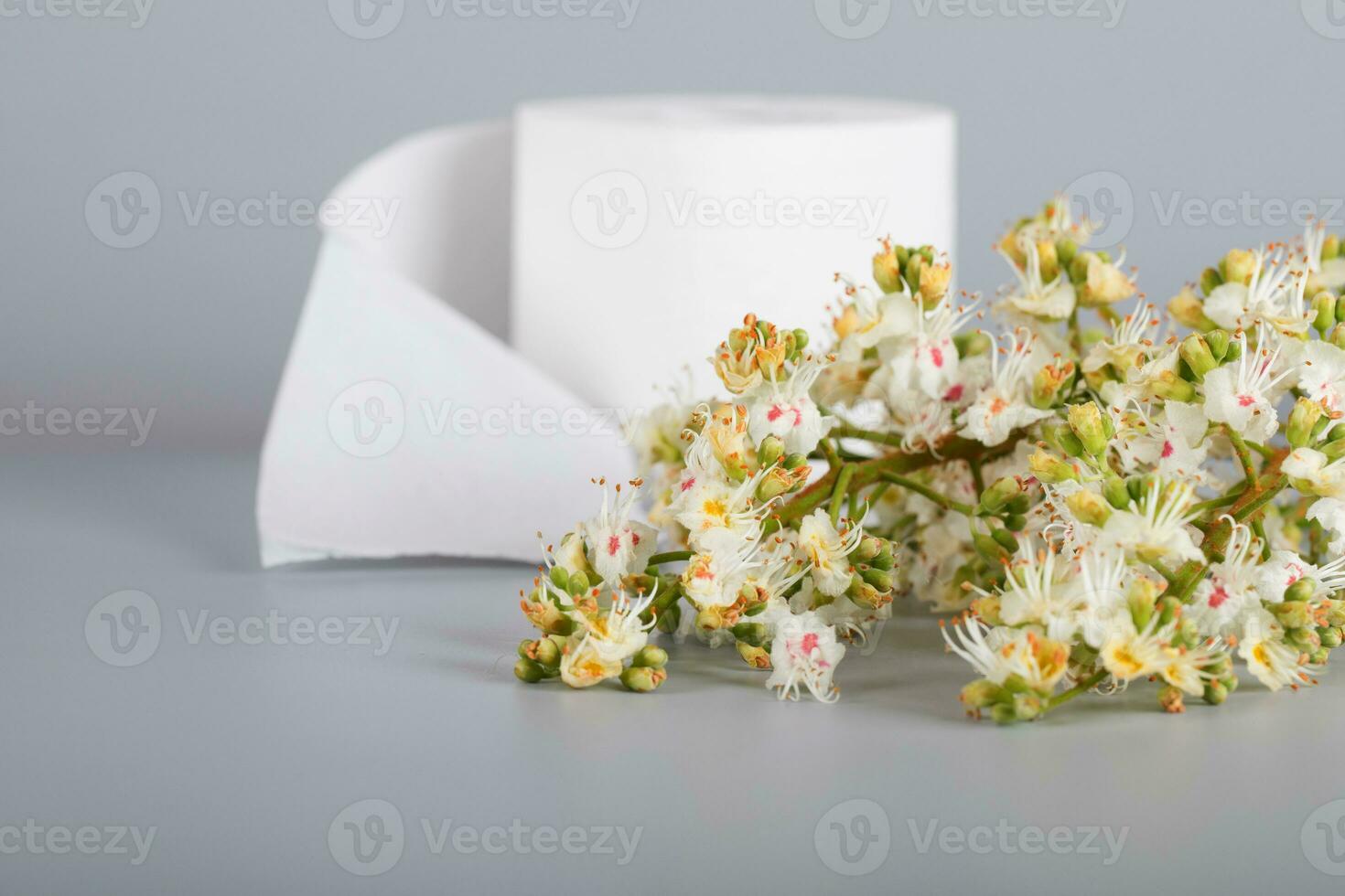 Horse chestnut flowers on a gray surface. Roll of toilet paper in the background. photo