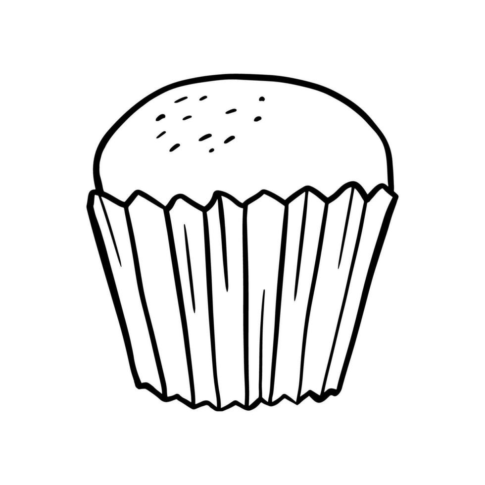 Vector line muffin. Baked snack in doodle style. Sweet