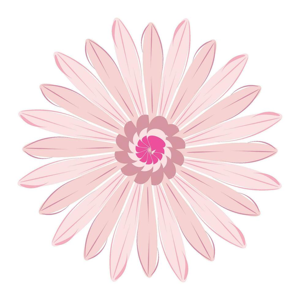 Floral Line Drawing, black and white sunflowers vector illustration