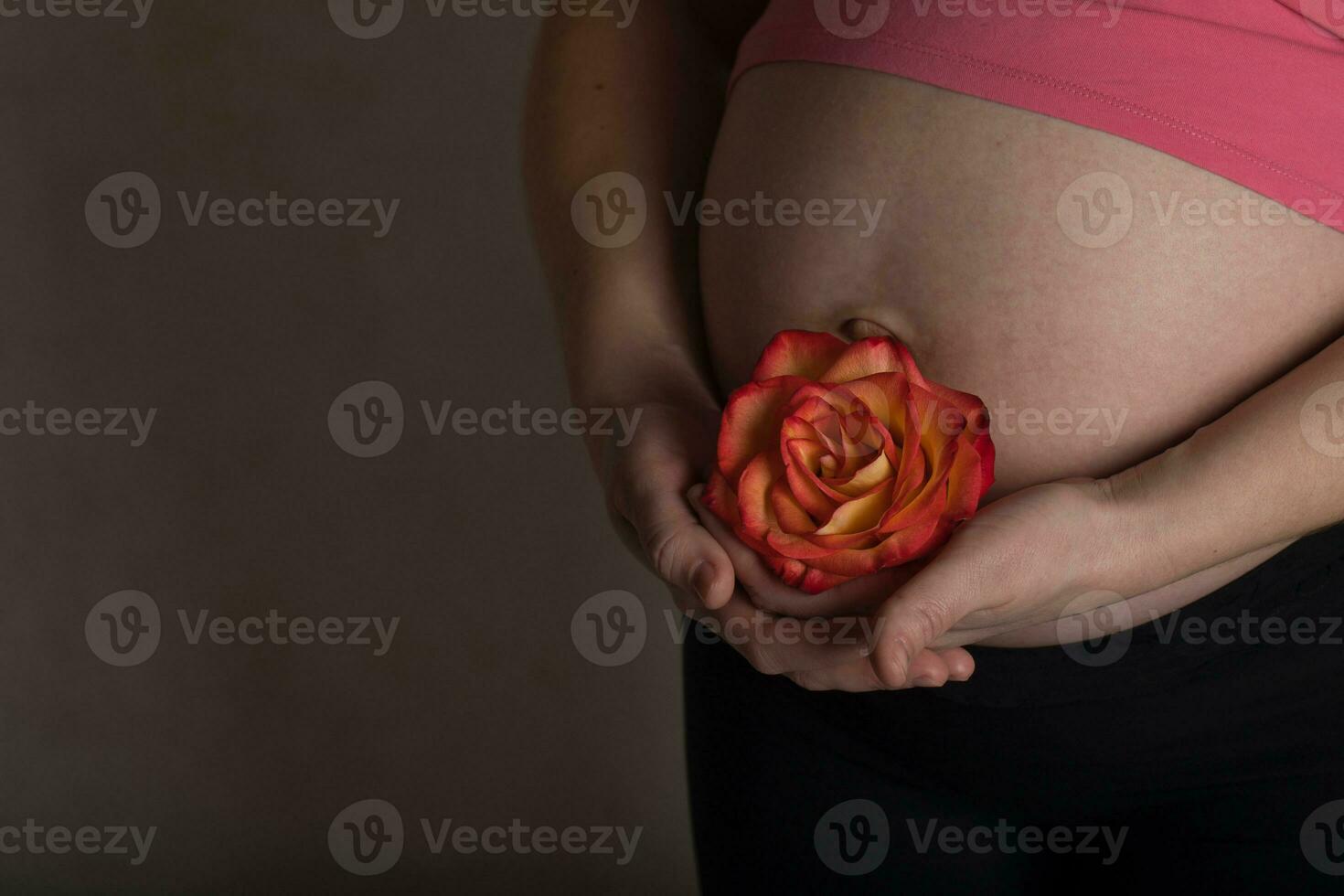 Young pregnant woman keeps natural rose blossom close to her belly. photo