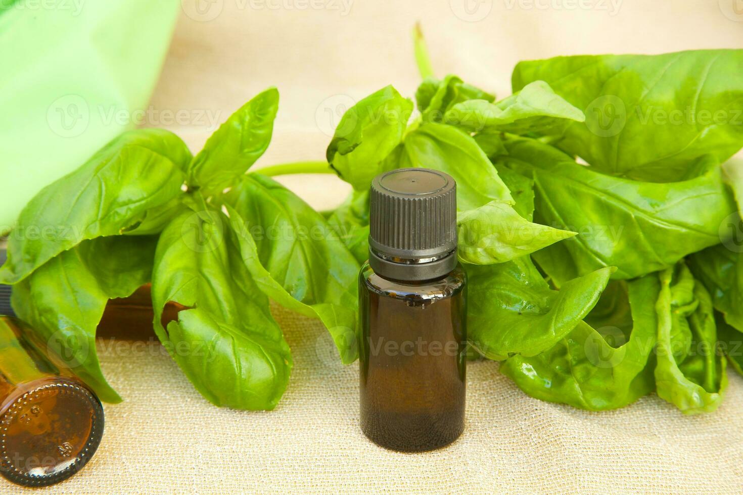 Basil essential oil photo