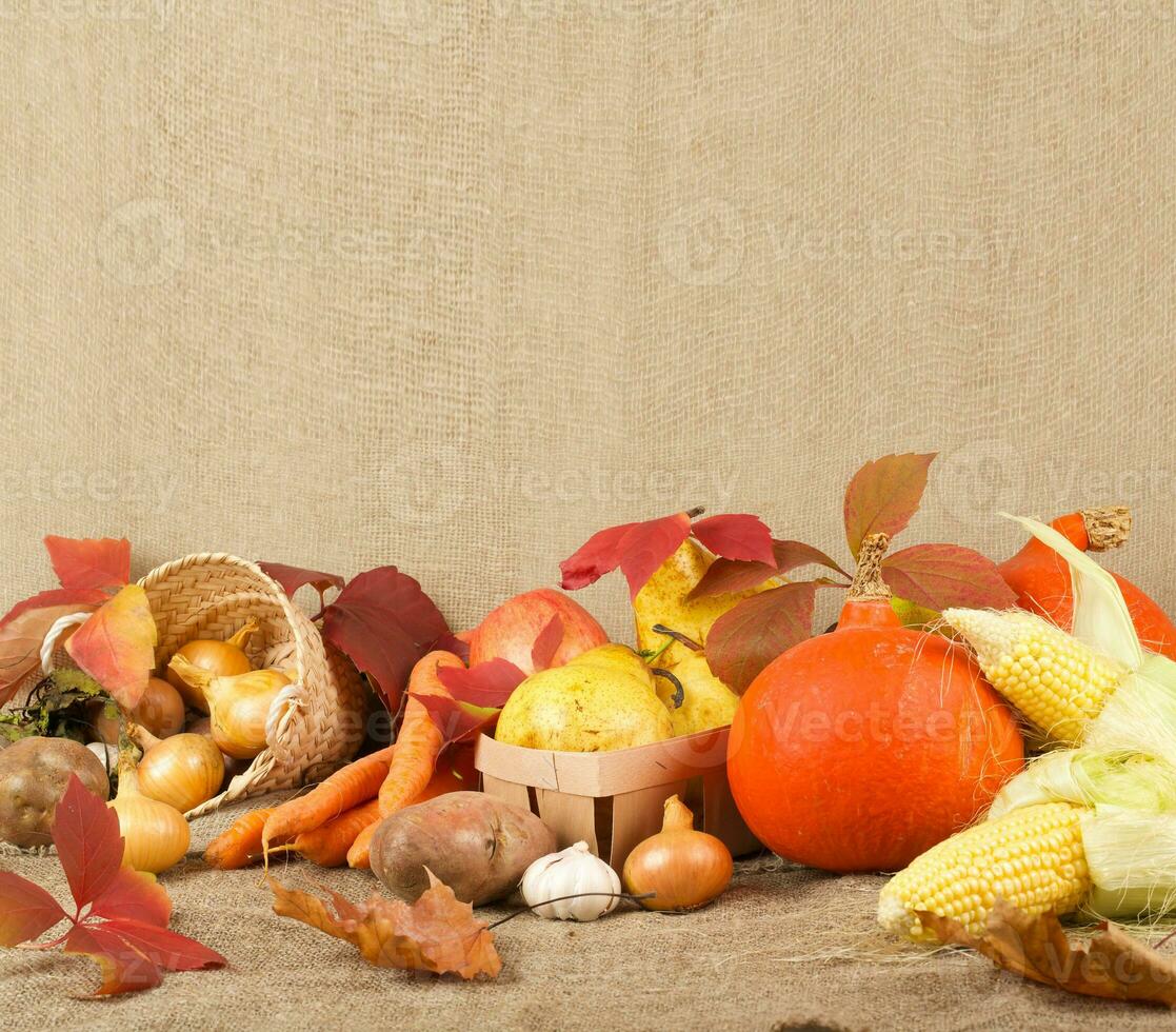 Thanksgiving day background photo