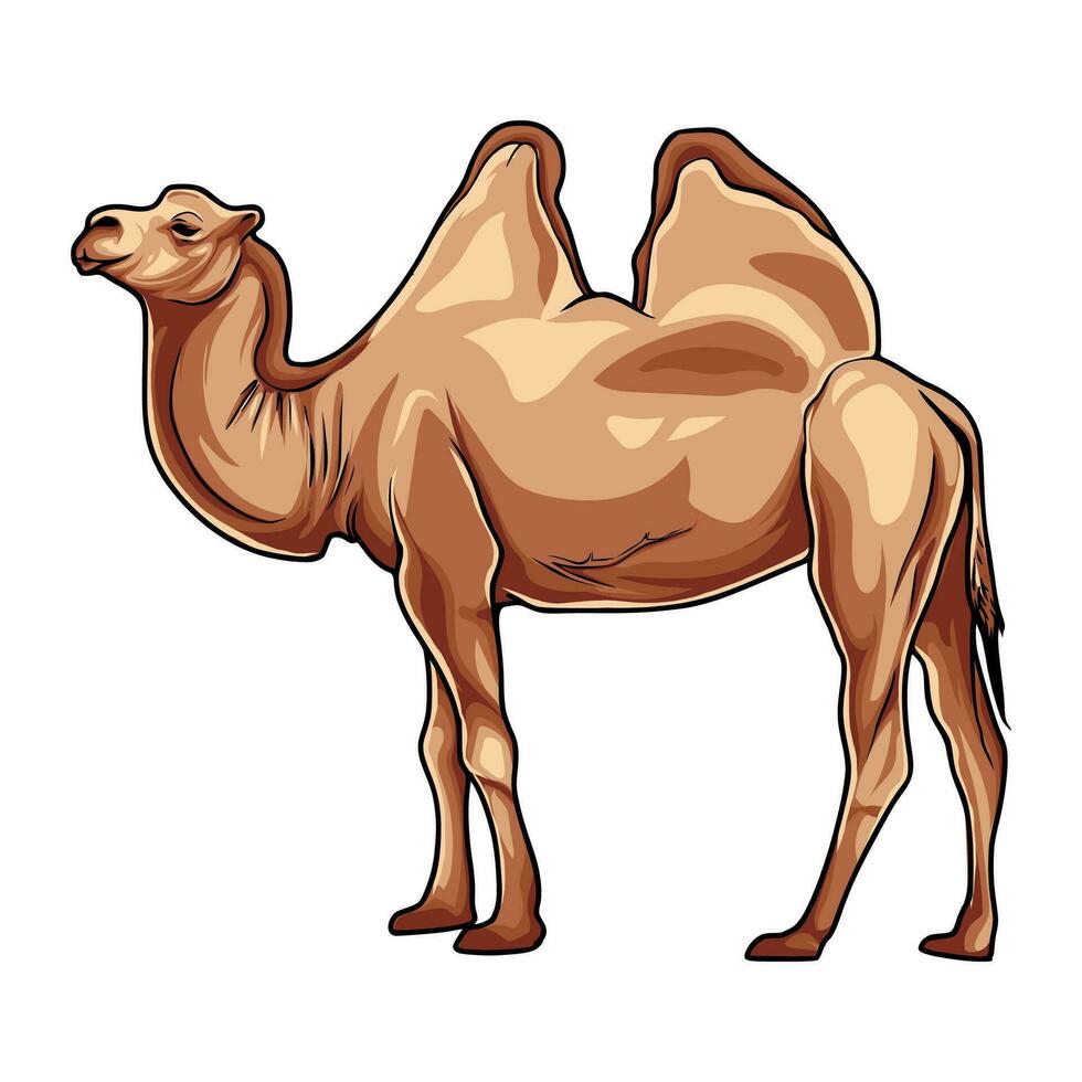 Animals whose meat is often consumed vector