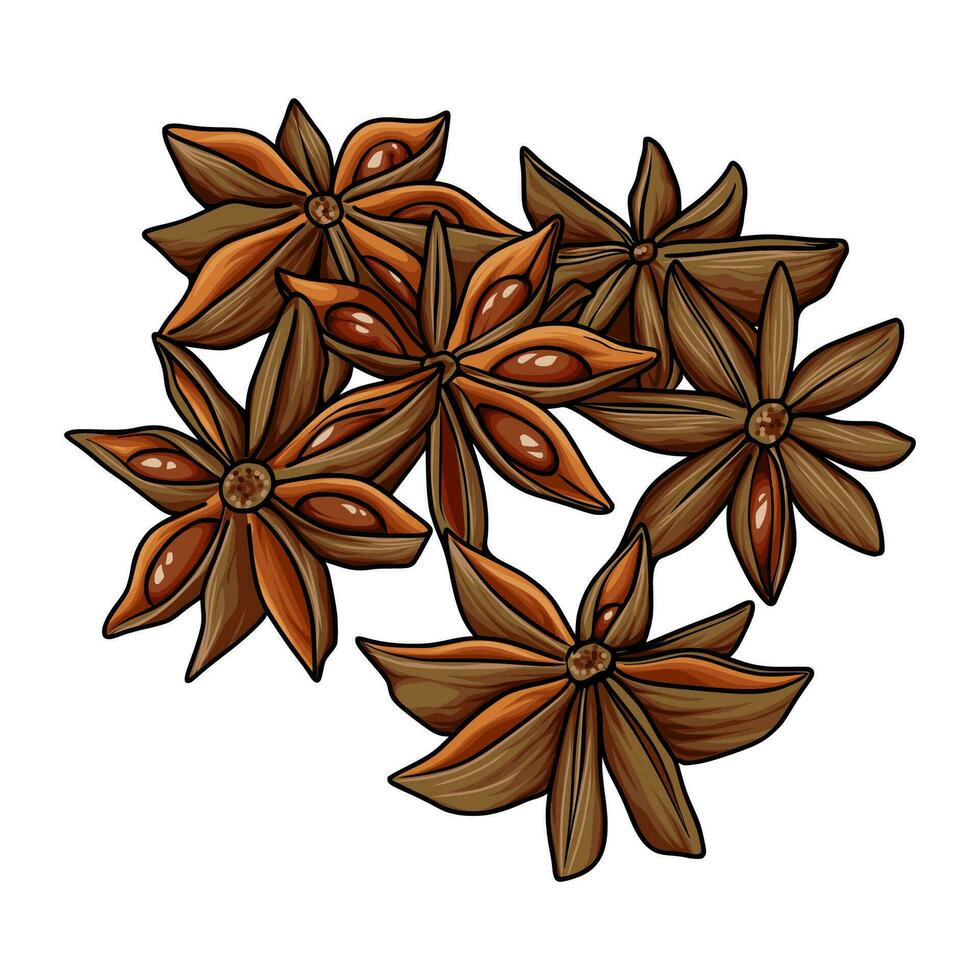Spices with many benefits for the human body vector
