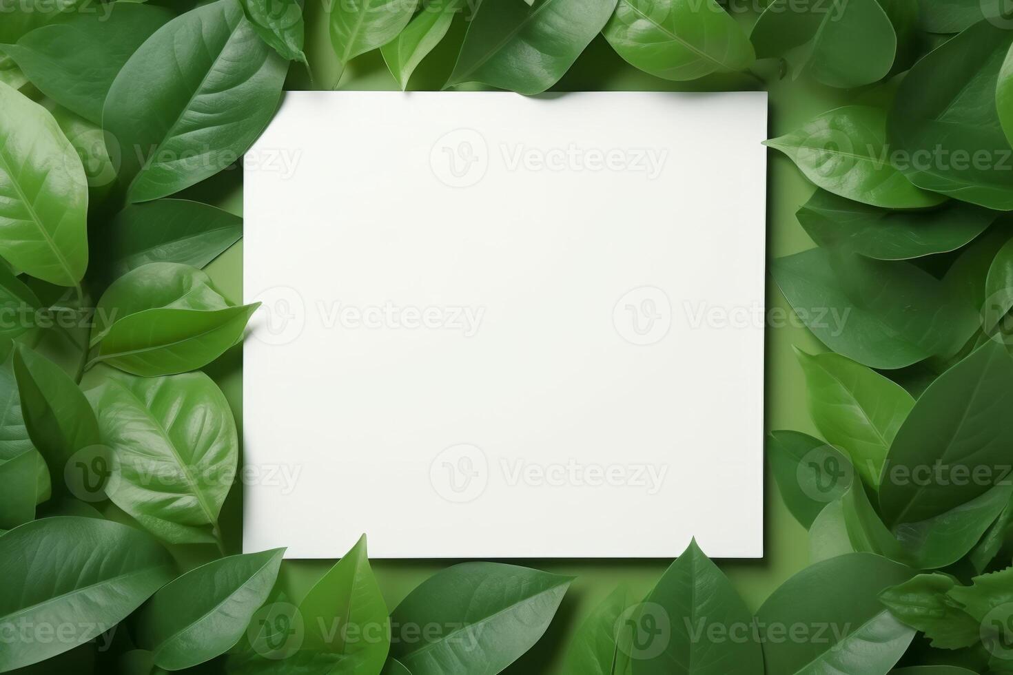 Natural Elegance Green Leaves and White Square Frame Creative Layout for Advertising Card or Invitation photo
