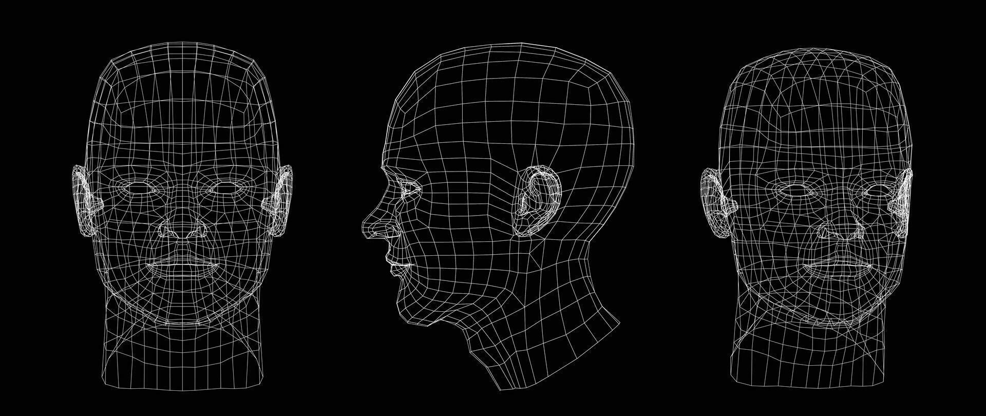 3D model wireframe of human head. Vector Illustration