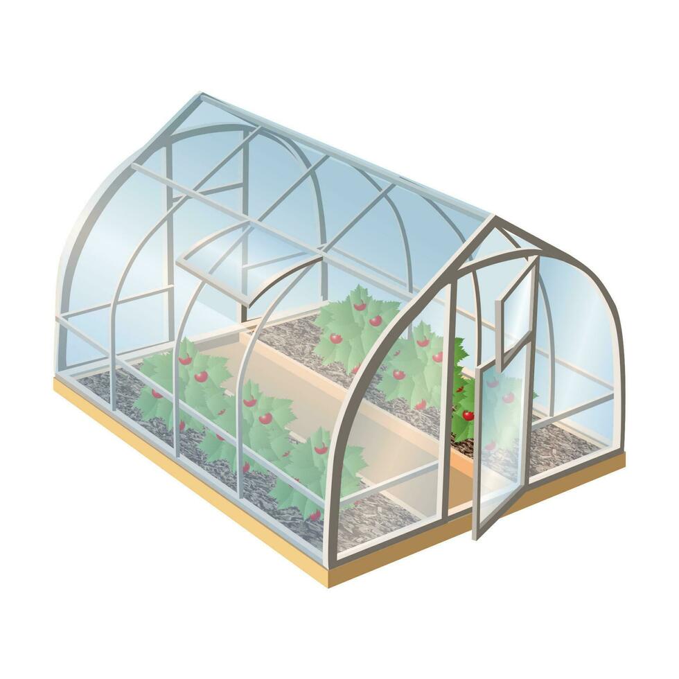 Isometric 3d realistic vector greenhouse with plants and glass with open door. Isolated illustration icon on white background.