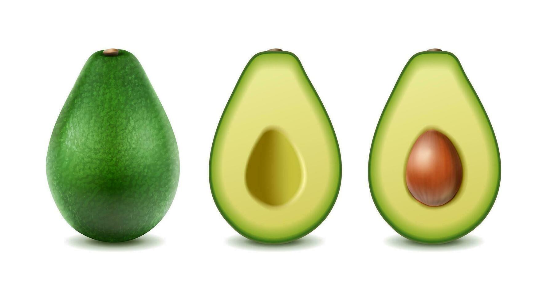 3d realistic vector icon set. Whole avocado, half sliced. Isolated on white background.