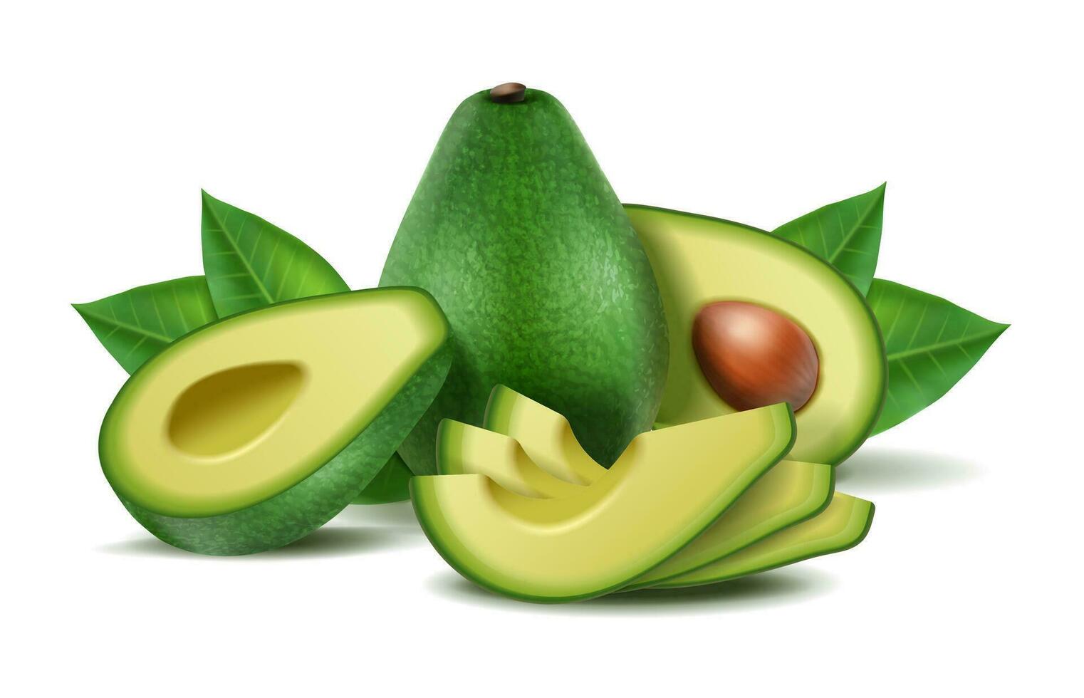 3d realista vector icono colocar. aguacate todo y medio. aislado.