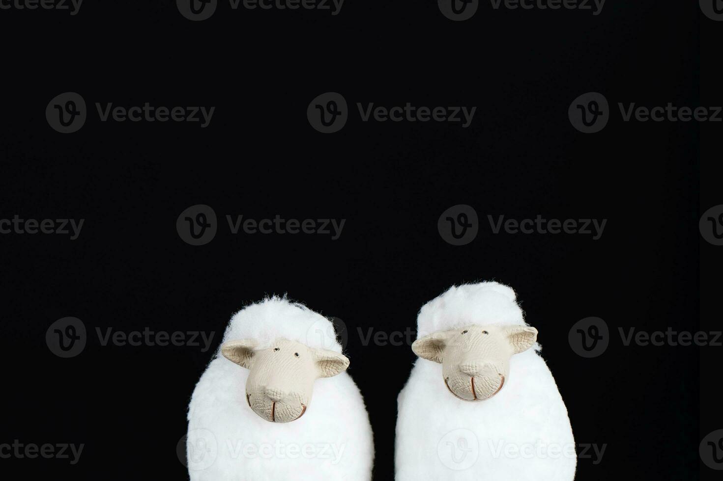 Two white lambs on a black surface. photo