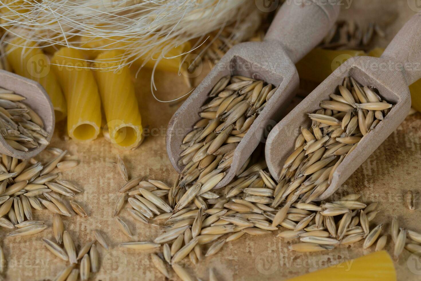 Rye grains in wooden spoons. photo