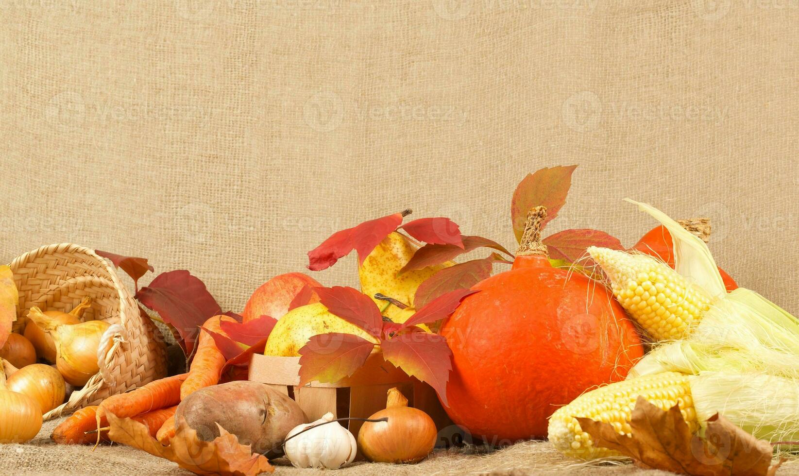 Thanksgiving day background photo