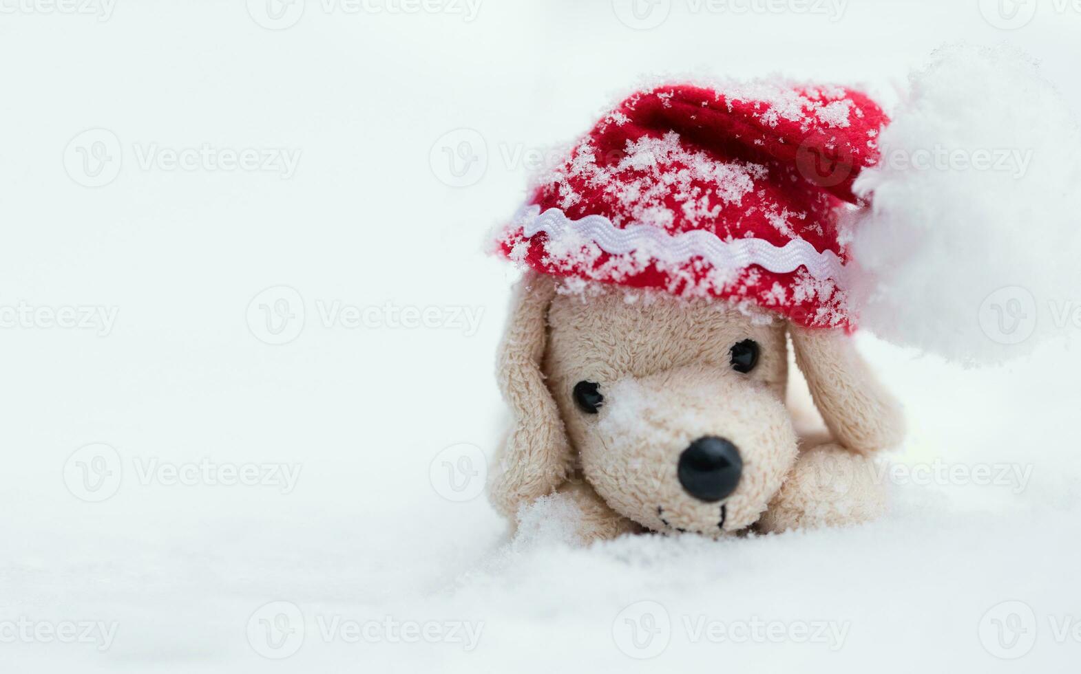 Small plush dog in Santa hat photo