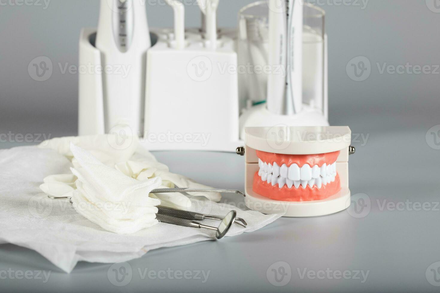 Teeth and jaw model. Closeup photo