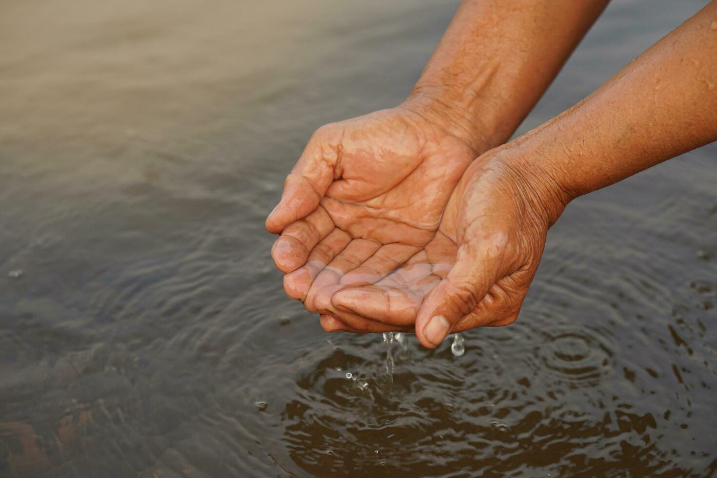 Closeup hands hold some water in river. Concept, explore, inspect clarify and quality of water from natural source. Ecology survey. Environment conservation. photo