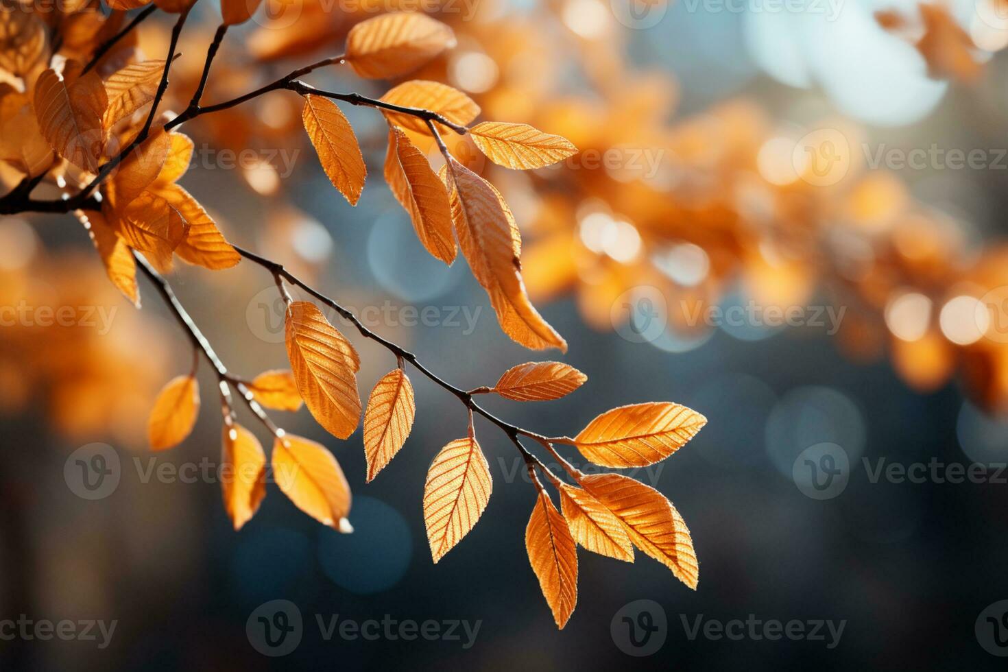 Sun-drenched autumn scene with vibrant yellow leaves on branches AI Generated photo